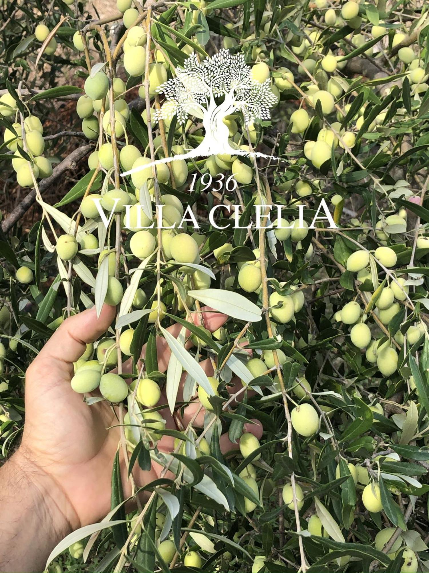 Il Palmento Di Villa Clelia 1936 Locri Ngoại thất bức ảnh